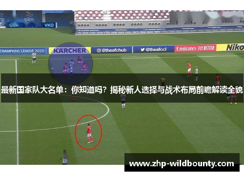 最新国家队大名单：你知道吗？揭秘新人选择与战术布局前瞻解读全貌
